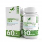  NaturalSupp Nephros forte 60 